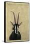 Sable-James W. Johnson-Framed Stretched Canvas