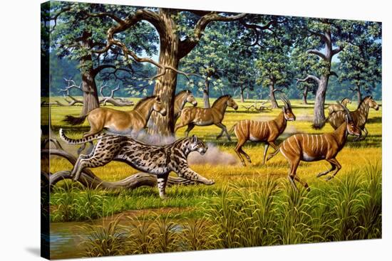 Sabre-toothed Cat Chasing Prey-Mauricio Anton-Stretched Canvas