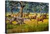 Sabre-toothed Cat Chasing Prey-Mauricio Anton-Stretched Canvas