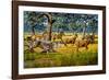 Sabre-toothed Cat Chasing Prey-Mauricio Anton-Framed Photographic Print