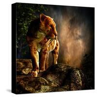 Sabre-Toothed Cat on the Prowl-null-Stretched Canvas