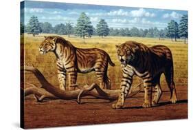 Sabre-toothed Cats, Artwork-Mauricio Anton-Stretched Canvas