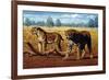 Sabre-toothed Cats, Artwork-Mauricio Anton-Framed Photographic Print