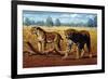 Sabre-toothed Cats, Artwork-Mauricio Anton-Framed Photographic Print