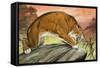 Sabre-Toothed Tiger Out Hunting-Angus Mcbride-Framed Stretched Canvas