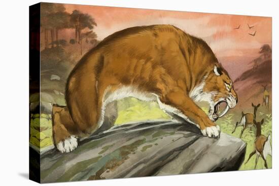 Sabre-Toothed Tiger Out Hunting-Angus Mcbride-Stretched Canvas