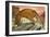 Sabre-Toothed Tiger Out Hunting-Angus Mcbride-Framed Giclee Print