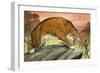 Sabre-Toothed Tiger Out Hunting-Angus Mcbride-Framed Giclee Print