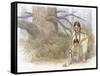 Sacagawea and Her Son are Kneeling Down, Looking at a Large Frog or Toad-Roger Cooke-Framed Stretched Canvas