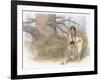 Sacagawea and Her Son are Kneeling Down, Looking at a Large Frog or Toad-Roger Cooke-Framed Giclee Print