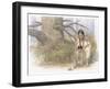 Sacagawea and Her Son are Kneeling Down, Looking at a Large Frog or Toad-Roger Cooke-Framed Giclee Print