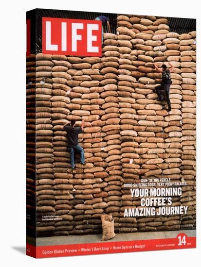 Sacks of Coffee Beans in Colombian Warehouse, January 14, 2005-Livia Corona-Stretched Canvas