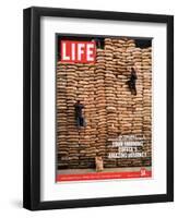 Sacks of Coffee Beans in Colombian Warehouse, January 14, 2005-Livia Corona-Framed Premium Photographic Print