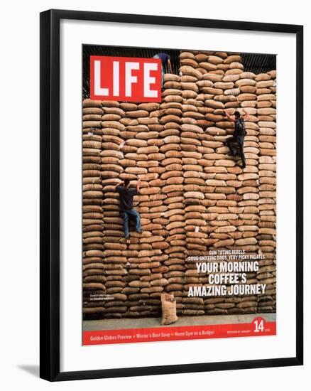 Sacks of Coffee Beans in Colombian Warehouse, January 14, 2005-Livia Corona-Framed Photographic Print