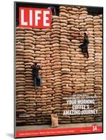 Sacks of Coffee Beans in Colombian Warehouse, January 14, 2005-Livia Corona-Mounted Photographic Print