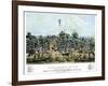 Sacramento, California, 1849-null-Framed Giclee Print