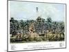 Sacramento, California, 1849-null-Mounted Giclee Print