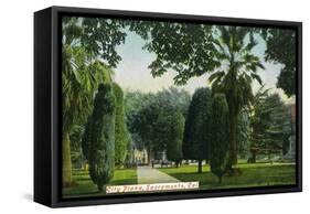 Sacramento, California - Scenic View in City Plaza-Lantern Press-Framed Stretched Canvas