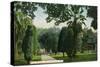 Sacramento, California - Scenic View in City Plaza-Lantern Press-Stretched Canvas