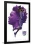 Sacramento Kings - De'Aaron Fox-null-Framed Poster