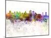 Sacramento Skyline in Watercolor Background-paulrommer-Mounted Art Print