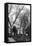 Sacre-C?ur Basilica - Montmartre - Paris-Philippe Hugonnard-Framed Stretched Canvas