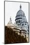 Sacre-Cœur Basilica - Montmartre - Paris - France-Philippe Hugonnard-Mounted Photographic Print