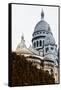 Sacre-Cœur Basilica - Montmartre - Paris - France-Philippe Hugonnard-Framed Stretched Canvas