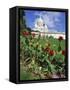 Sacre Coeur Cathedral, Paris, France, Europe-Richard Nebesky-Framed Stretched Canvas