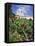 Sacre Coeur Cathedral, Paris, France, Europe-Richard Nebesky-Framed Stretched Canvas