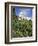 Sacre Coeur Cathedral, Paris, France, Europe-Richard Nebesky-Framed Photographic Print