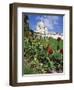 Sacre Coeur Cathedral, Paris, France, Europe-Richard Nebesky-Framed Photographic Print