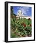 Sacre Coeur Cathedral, Paris, France, Europe-Richard Nebesky-Framed Photographic Print