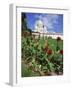 Sacre Coeur Cathedral, Paris, France, Europe-Richard Nebesky-Framed Photographic Print