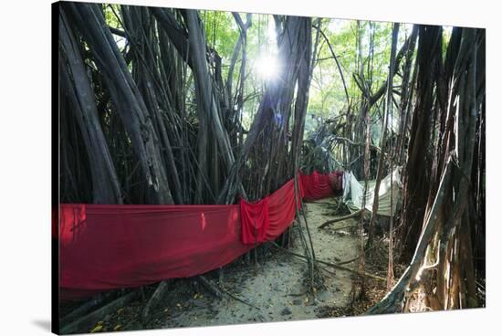 Sacred Baobab tree, Nosy Be Island, northern area, Madagascar, Africa-Christian Kober-Stretched Canvas