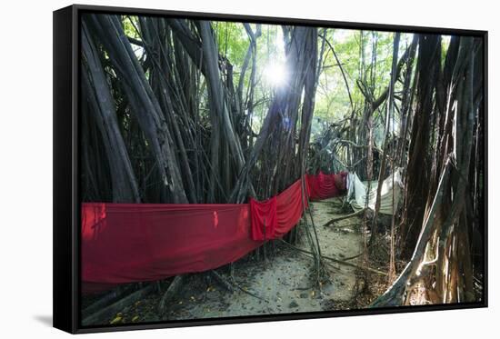 Sacred Baobab tree, Nosy Be Island, northern area, Madagascar, Africa-Christian Kober-Framed Stretched Canvas