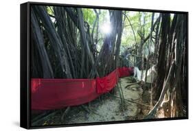 Sacred Baobab tree, Nosy Be Island, northern area, Madagascar, Africa-Christian Kober-Framed Stretched Canvas