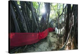 Sacred Baobab tree, Nosy Be Island, northern area, Madagascar, Africa-Christian Kober-Stretched Canvas