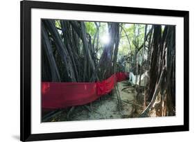 Sacred Baobab tree, Nosy Be Island, northern area, Madagascar, Africa-Christian Kober-Framed Photographic Print