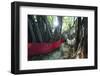 Sacred Baobab tree, Nosy Be Island, northern area, Madagascar, Africa-Christian Kober-Framed Photographic Print