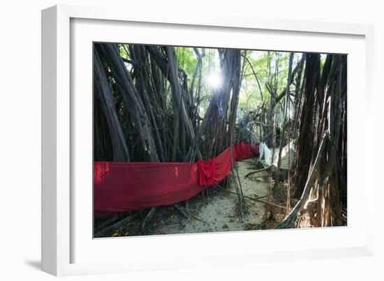 Sacred Baobab tree, Nosy Be Island, northern area, Madagascar, Africa-Christian Kober-Framed Photographic Print