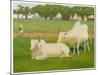 Sacred Cows, India-Richard Carline-Mounted Art Print