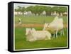 Sacred Cows, India-Richard Carline-Framed Stretched Canvas