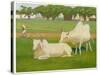 Sacred Cows, India-Richard Carline-Stretched Canvas