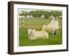 Sacred Cows, India-Richard Carline-Framed Art Print