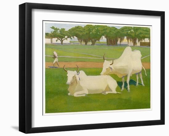 Sacred Cows, India-Richard Carline-Framed Art Print