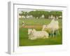 Sacred Cows, India-Richard Carline-Framed Art Print