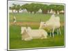 Sacred Cows, India-Richard Carline-Mounted Art Print