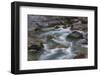 Sacred Dancing Cascade in McDonald Creek in Glacier National Park, Montana, USA-Chuck Haney-Framed Photographic Print