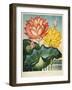 Sacred Egyptian Bean-null-Framed Giclee Print